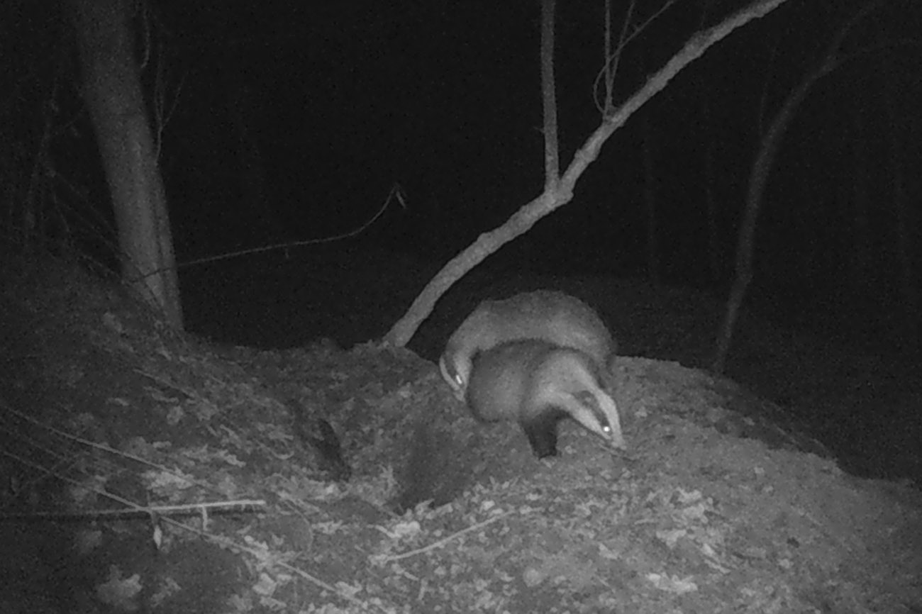 Zav▒▒t okno